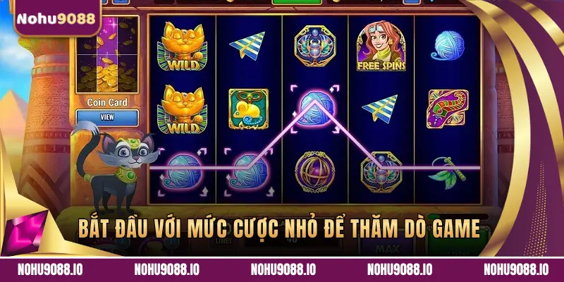Quản lý mức cược linh hoạt
